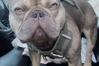 CM3B4 out only - no car - 37 - Image 2